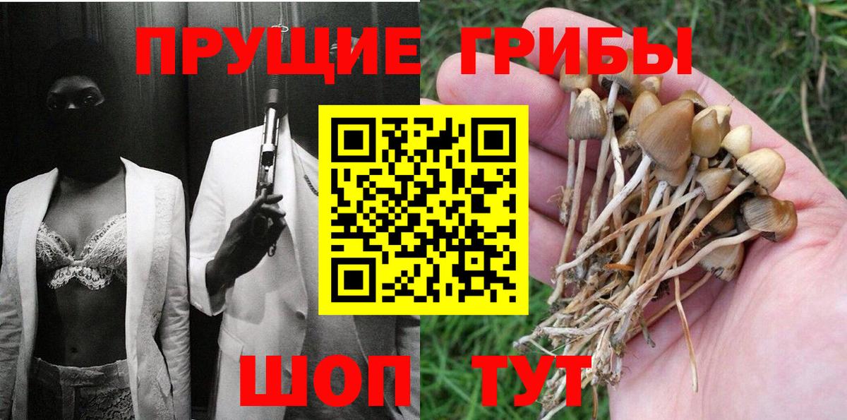 Медногорск  наркота  Вход с VPN  Псилоцибиновые грибы мицелий 